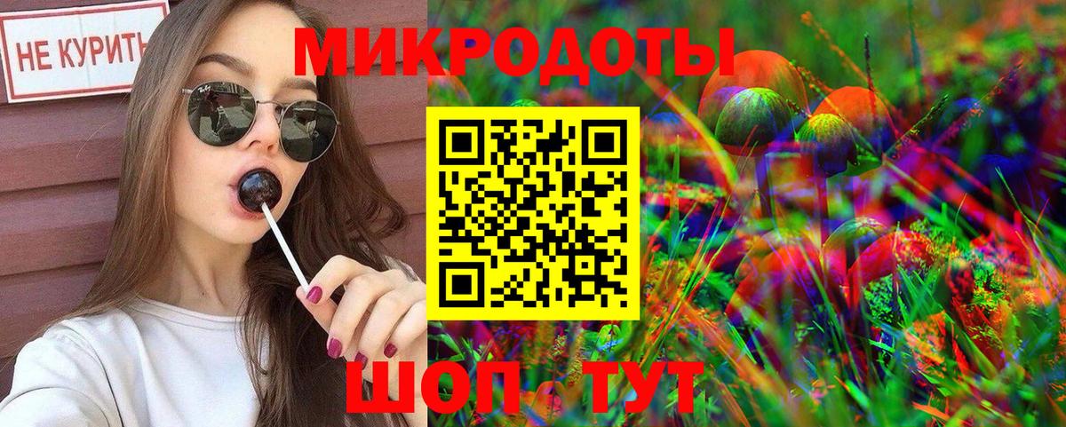 Псилоцибиновые грибы Cubensis Качканар