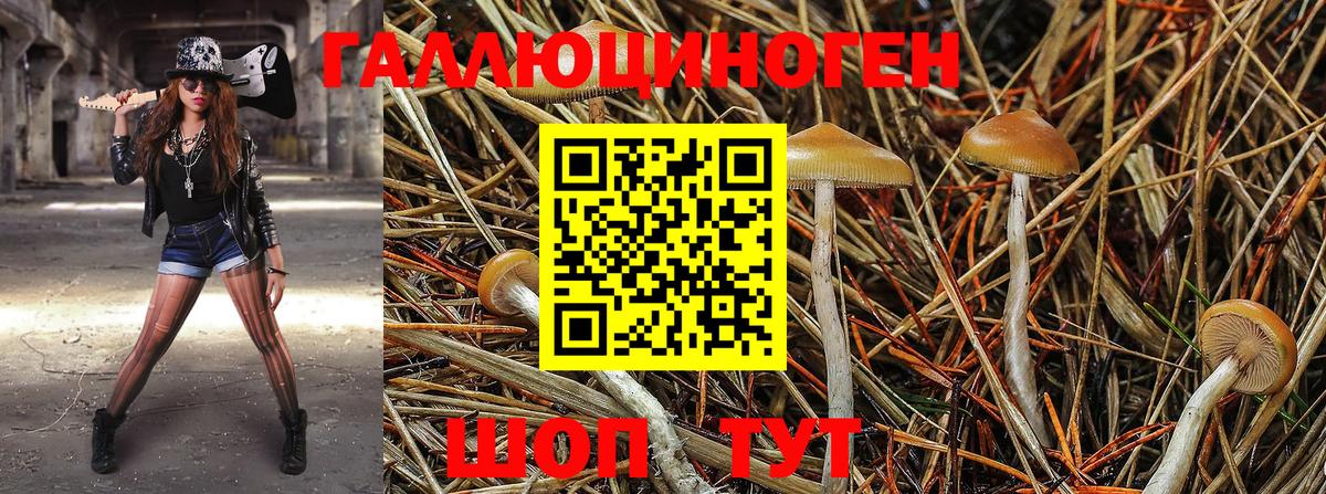 Галлюциногенные грибы MAGIC MUSHROOMS  Вход с VPN  Качканар 